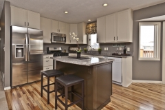 contemporary-kitchen-with-quartz-countertops-painted-kitchen-cabinets-and-white-cabinets-i_g-IS9xn5x5o0vyil0000000000-iuLSr